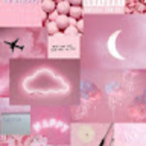 Meet your Posher, Danusha